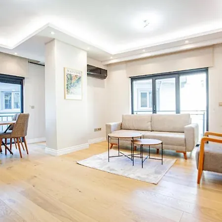 Mayer Skycon In Besiktas 2 * Istanbul