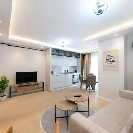 Mayer Skycon In Besiktas 2 Istanbul