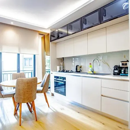 Mayer Skycon In Besiktas 2 *