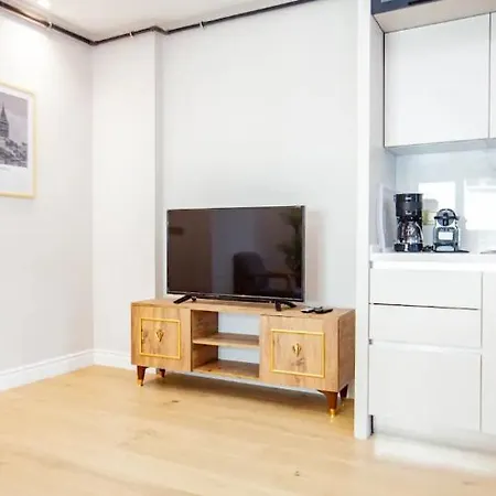 Mayer Skycon In Besiktas 2 Apartment *