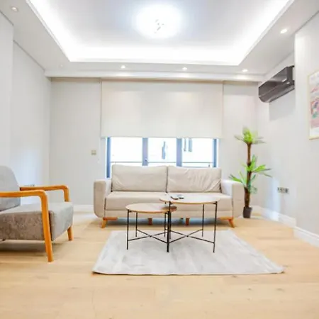 Mayer Skycon In Besiktas 2 Apartment