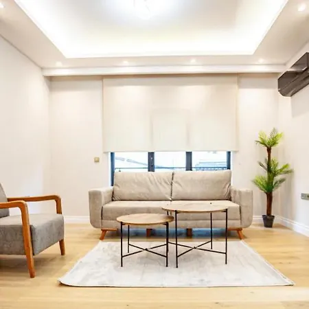 Mayer Skycon In Besiktas 2 Apartment *