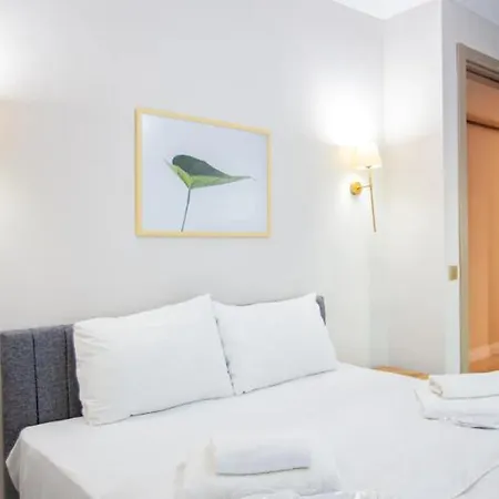 Mayer Skycon In Besiktas 2 Apartment *