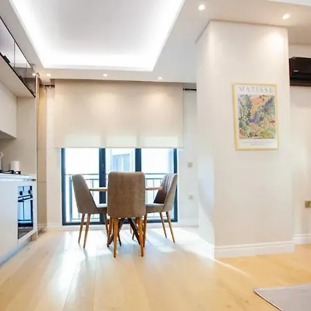 Apartment Mayer Skycon In Besiktas 2 *