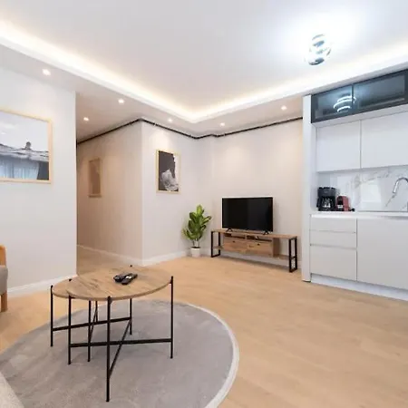 Mayer Skycon In Besiktas 2 아파트 이스탄불