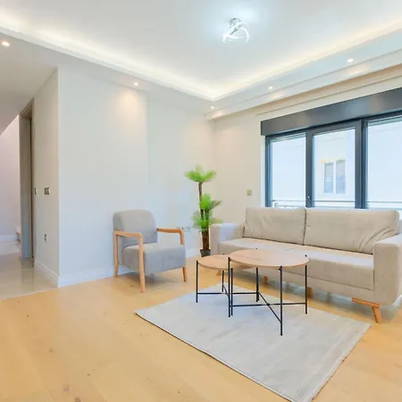 Mayer Skycon In Besiktas 2