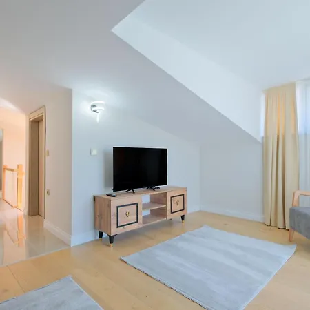 Mayer Skycon In Besiktas 2