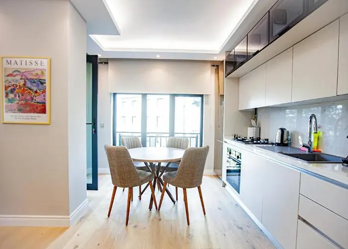 Mayer Skycon In Besiktas 2 伊斯坦布尔