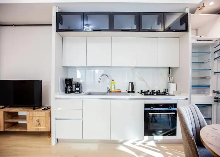 公寓 Mayer Skycon In Besiktas 2 伊斯坦布尔