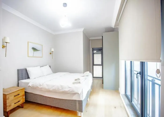 Mayer Skycon In Besiktas 2 * 伊斯坦布尔