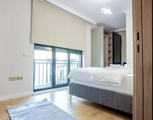 Mayer Skycon In Besiktas 2 伊斯坦布尔