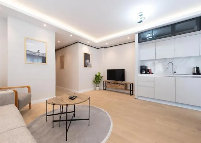 Mayer Skycon In Besiktas 2 公寓 伊斯坦布尔