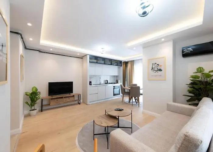 Mayer Skycon In Besiktas 2 伊斯坦布尔