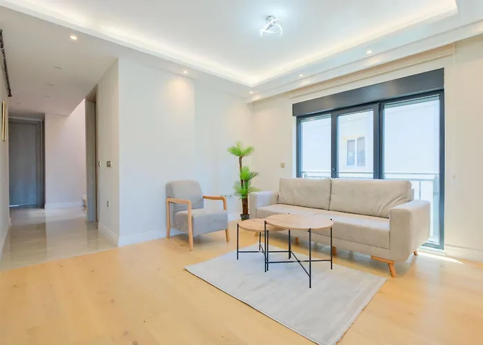 Mayer Skycon In Besiktas 2