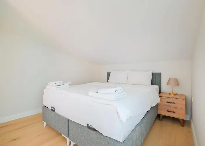 Mayer Skycon In Besiktas 2 公寓 伊斯坦布尔