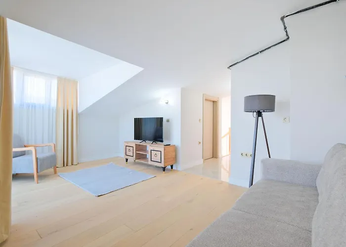 Mayer Skycon In Besiktas 2 伊斯坦布尔